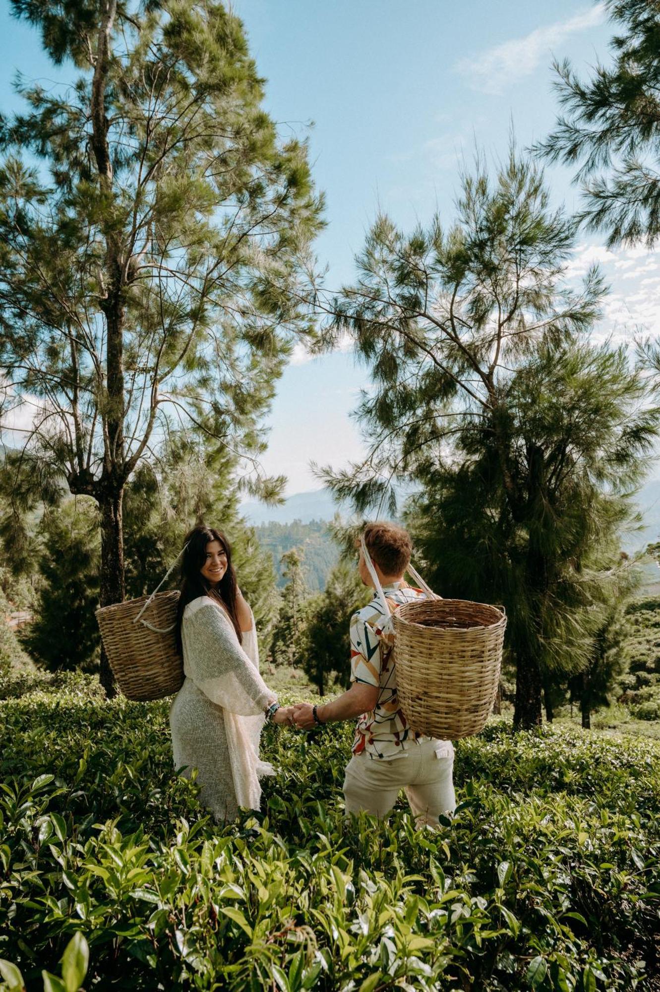 Hotel Tea And Experience Factory - Thema Collection Mandaran Newara Esterno foto
